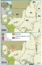 Land-Cover and Land-Use Change at the Frontier: Socioeconomic and Environmental Factors Influencing Land Cover and Land-Use Changes in the Cerrado Biome
