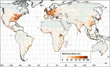 The global wildland urban interface